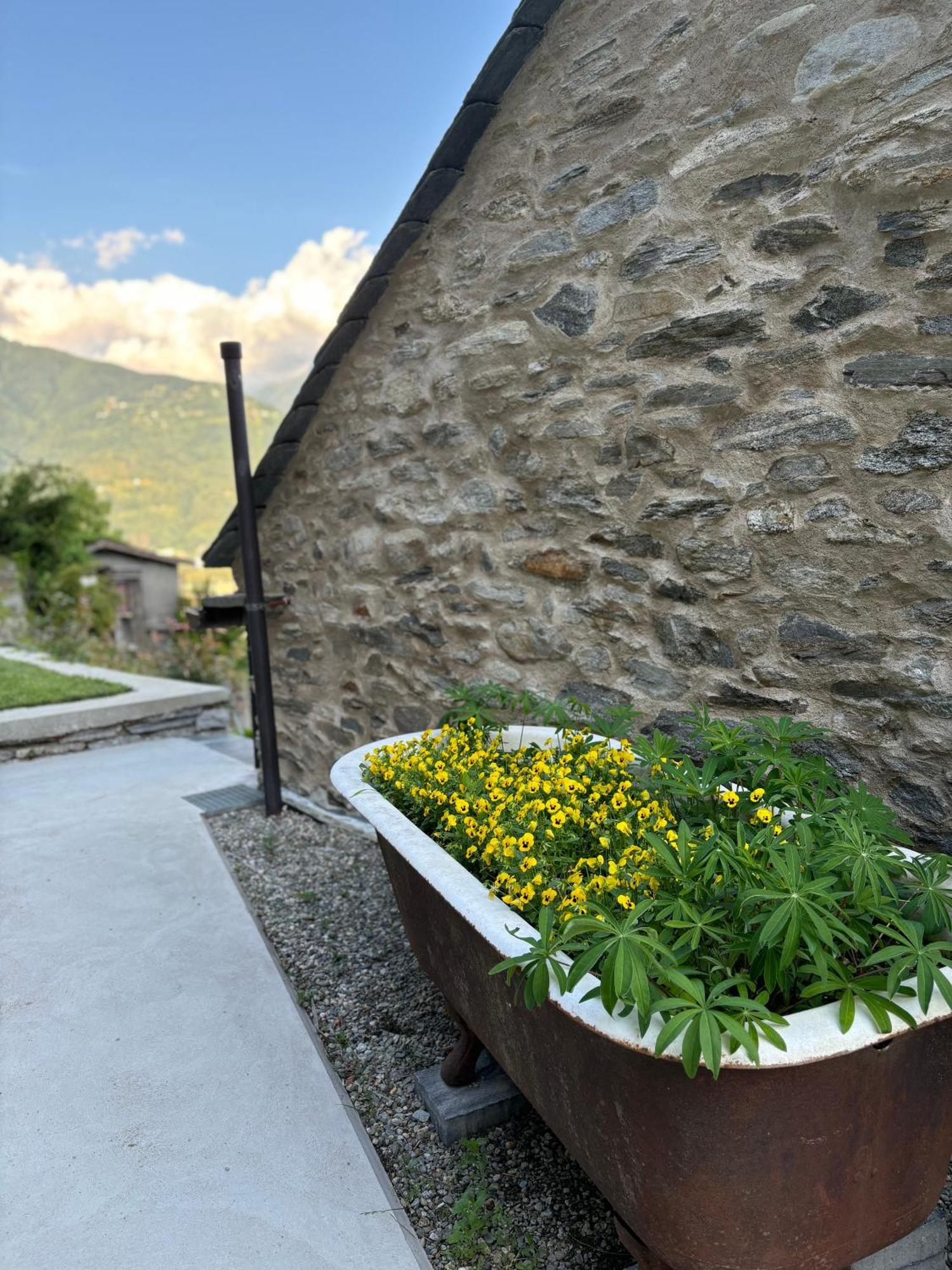 Ca'Gialla Bellinzona Eksteriør bilde